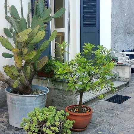 Vakantiehuis All'ombra Dei Tassi Mandello del Lario