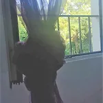 All'ombra Dei Tassi