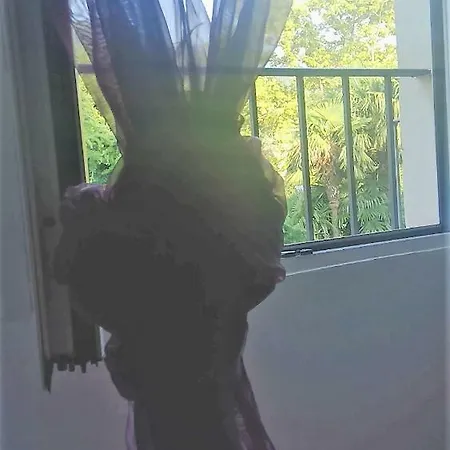 All'ombra Dei Tassi