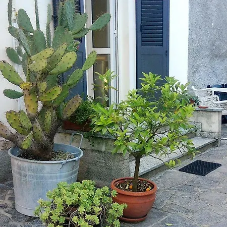 Hébergement de vacances All'ombra Dei Tassi Mandello del Lario