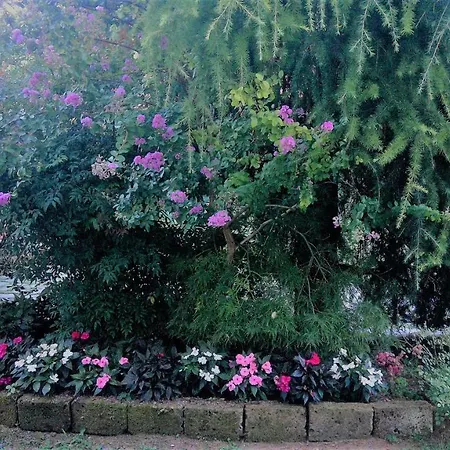 All'ombra Dei Tassi Hébergement de vacances